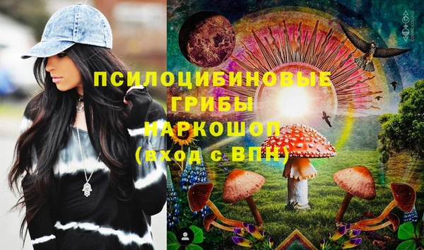 амф Осташков